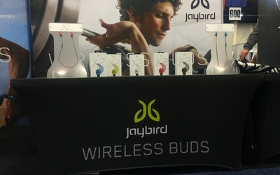 Jaybird